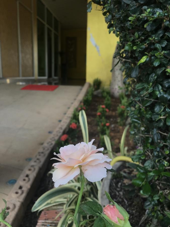 The M Bokeo Hotel Huay Xai Exterior photo
